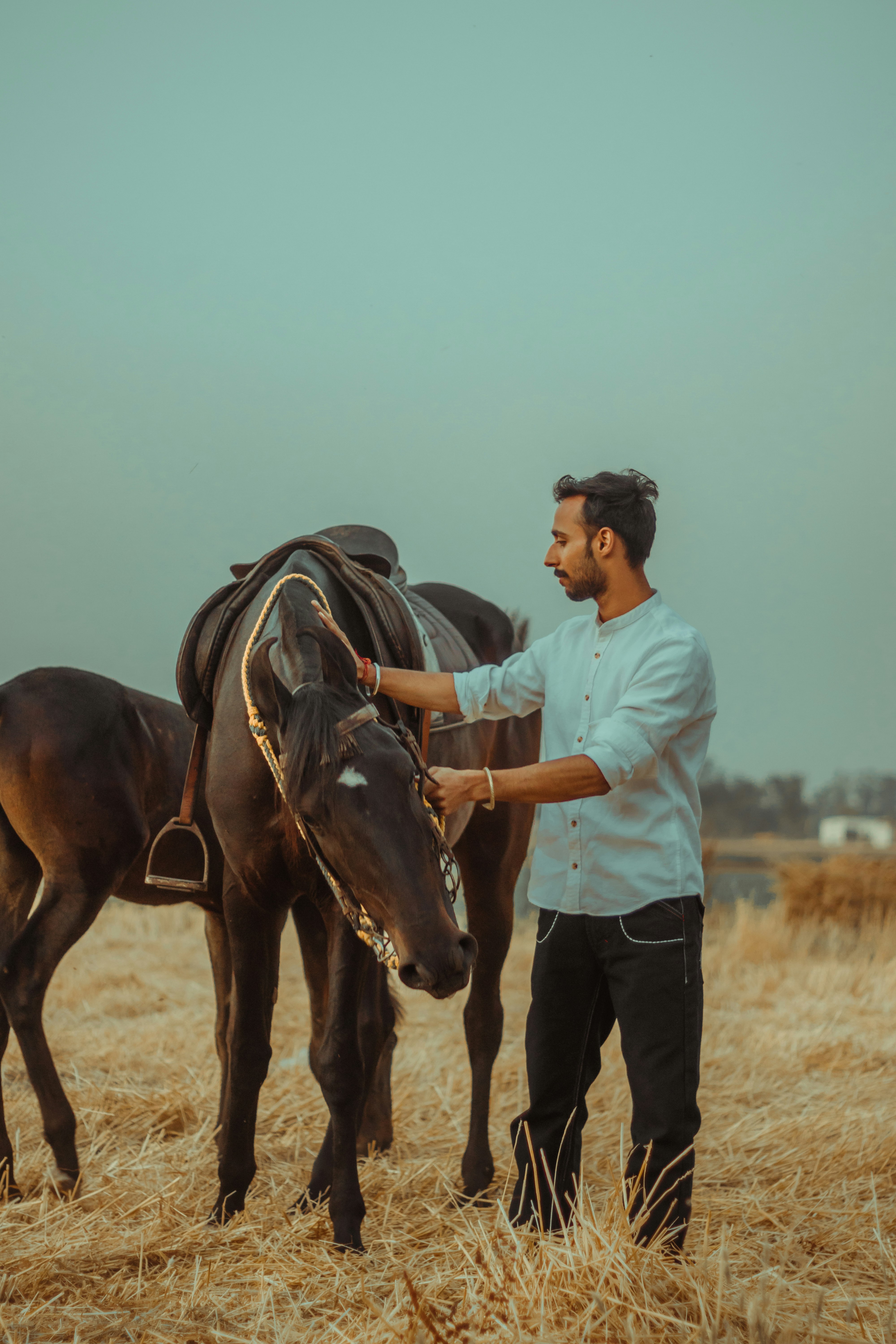 man in blue dress shirt riding brown horse during daytime